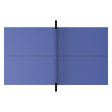 Стол для настольного тенниса ТТТ 100