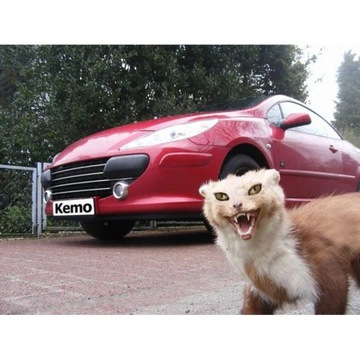 Автомобильный отпугиватель куниц и грызунов Kemo M094