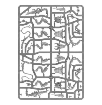 Тираниды-воины, Warhammer 40000