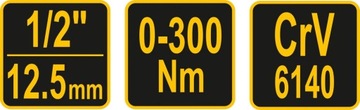 Наклонный динамометрический ключ 0–300 Нм 1/2