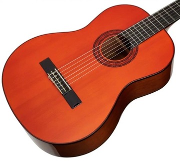 WASHBURN C 5 (N) классическая гитара