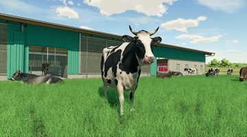 Farming Simulator 22 — Коллекционное издание для ПК