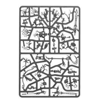 WARHAMMER AOS — НАЧАЛЬНИК СИЛЬВАНЕТ