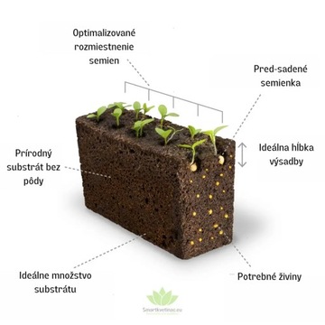 Вставка для семян Lingot с семенами мяты Véritable