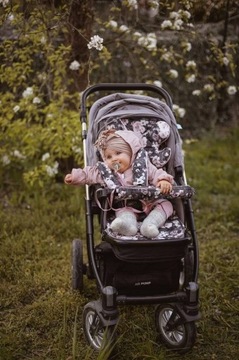 Чехлы на ремни для колясок - Орнитология