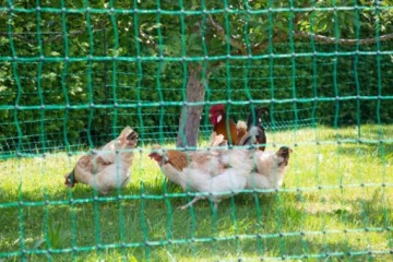 Электрическая пастушья сачка для домашней птицы, 25 м 106 см, 2 шипа, зеленая