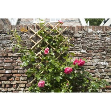 Опора Nature Garden для винограда, 45x180 см, бамбук, 6040720