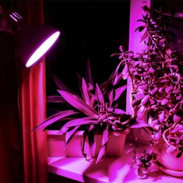 GROW BULB FITO LED Videx E27 8W ЛАМПА ДЛЯ ВЫРАЩИВАНИЯ РАСТЕНИЙ
