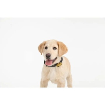 Tickless Run Blue средство от клещей для человека.