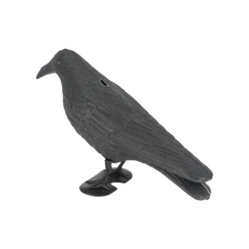 Пугало - ворона