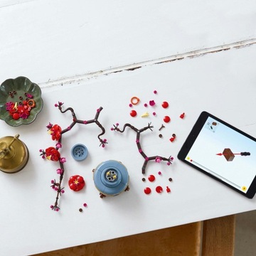 Icons 10369 Блоки цветков сливы