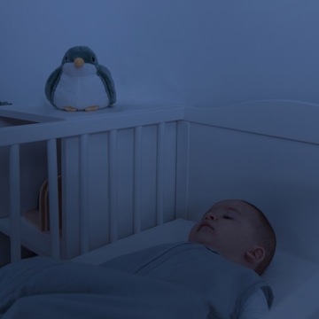 Zazu SHALLY Projektor Zachodzącego Słońca Ptaszek