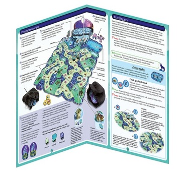 Лупос ПЬЯТНИК