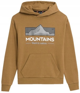 СВИТШОТ С КАПЮШОНОМ 4F ДЛЯ МАЛЬЧИКОВ AW23M634