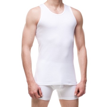 Футболка Cornette Authentic 213 р.л.