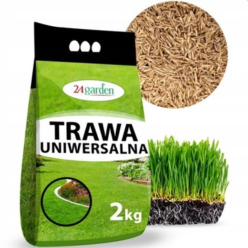 NASIONA TRAWA RENOWACYJNA REGENERACYJNA ODBUDOWA TRAWNIKA SAMOZAGĘSZCZA 4kg