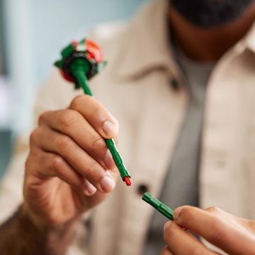 LEGO Icons Букет роз 10328 + ПОДАРОЧНАЯ СУМКА LEGO + Каталог LEGO PDF 2024