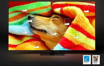Samsung QLED QE55Q80CAT 55
