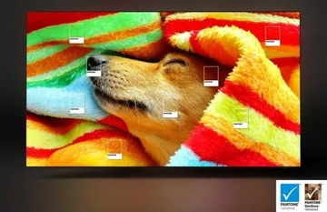 Telewizor OLED Samsung QE77S90C 77