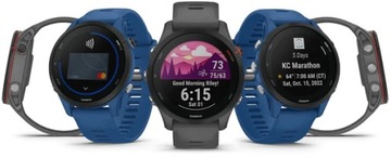 Умные часы Garmin Forerunner 255, серые