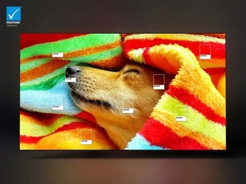 OLED-телевизор SAMSUNG QE65S95C 65S95C 4K UHD OLED DVBT-2