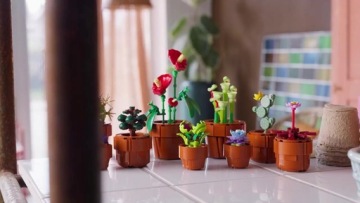 LEGO dla dorosłych ICONS Kwiaty w doniczkach małe roślinki 10329 Botanical