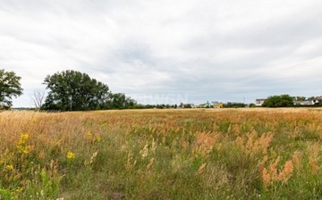 Działka, Szamotuły, 4300 m²