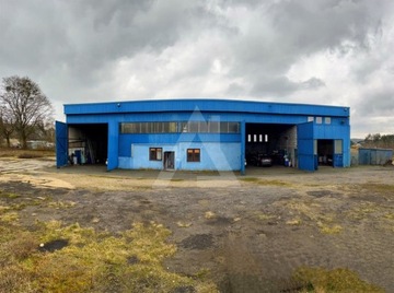 Magazyny i hale, Brzoza, 650 m²