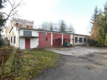 Magazyny i hale, Nysa, Nysa (gm.), 382 m²