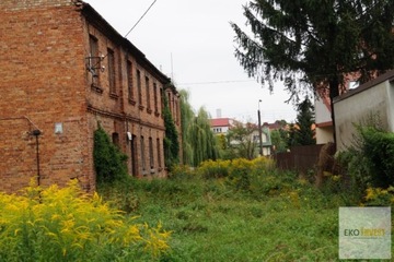Dom, Pułtusk (gm.), 312 m²