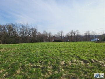 Działka, Wola Radziszowska, 2480 m²