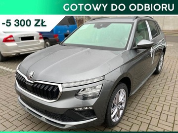 Skoda Kamiq Selection 1.0 TSI 115KM DSG Assisted Drive Plus Winter Premium