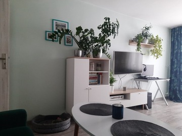 Mieszkanie, Nowy Targ, Nowy Targ, 48 m²