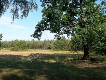 Działka, Cisówka, 3200 m²