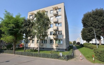 Mieszkanie, Elbląg, 55 m²