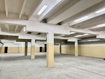 Magazyny i hale, Pabianice (gm.), 270 m²