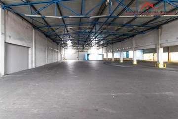 Magazyny i hale, Toruń, Bielawy, 700 m²