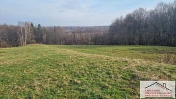 Działka, Zamarski, Hażlach (gm.), 6185 m²