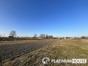 Działka, Sulechów, 4900 m²