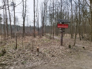 Działka, Łomianki, 1000 m²