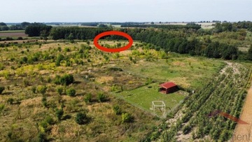 Działka, Wilczyna, Duszniki (gm.), 1305 m²