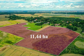 Działka, Gudniki, Korsze (gm.), 115000 m²