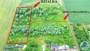 Działka, Wieniec, 3767 m²