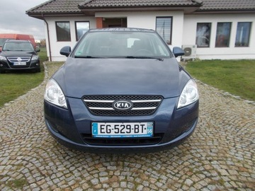 KIA CEED - ZOBACZ WARTO !!!