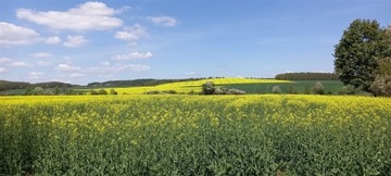 Działka, Bolków, Bolków (gm.), 3600 m²