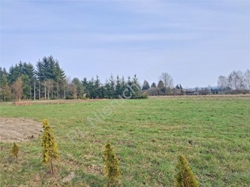 Działka, Stara Niedziałka, 1271 m²