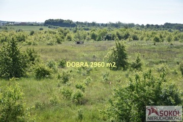 Działka, Dobra, 2960 m²