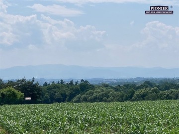 Działka, Zamarski, Hażlach (gm.), 3400 m²