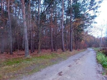 Działka, Rusiec, Nadarzyn (gm.), 1100 m²