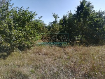 Działka, Milanówek, Milanówek, 5700 m²